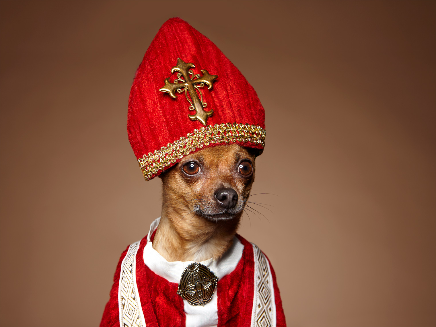 Dog pope costume