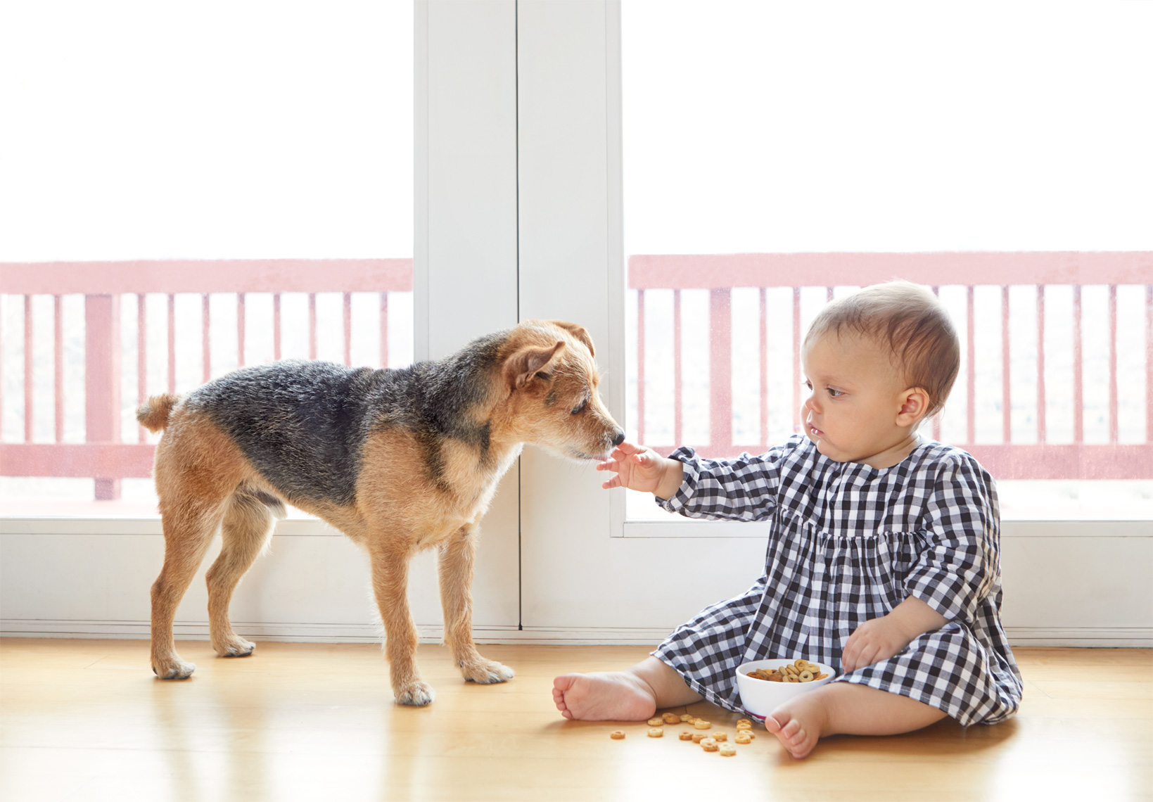 Toddler feeding cheerios to dog