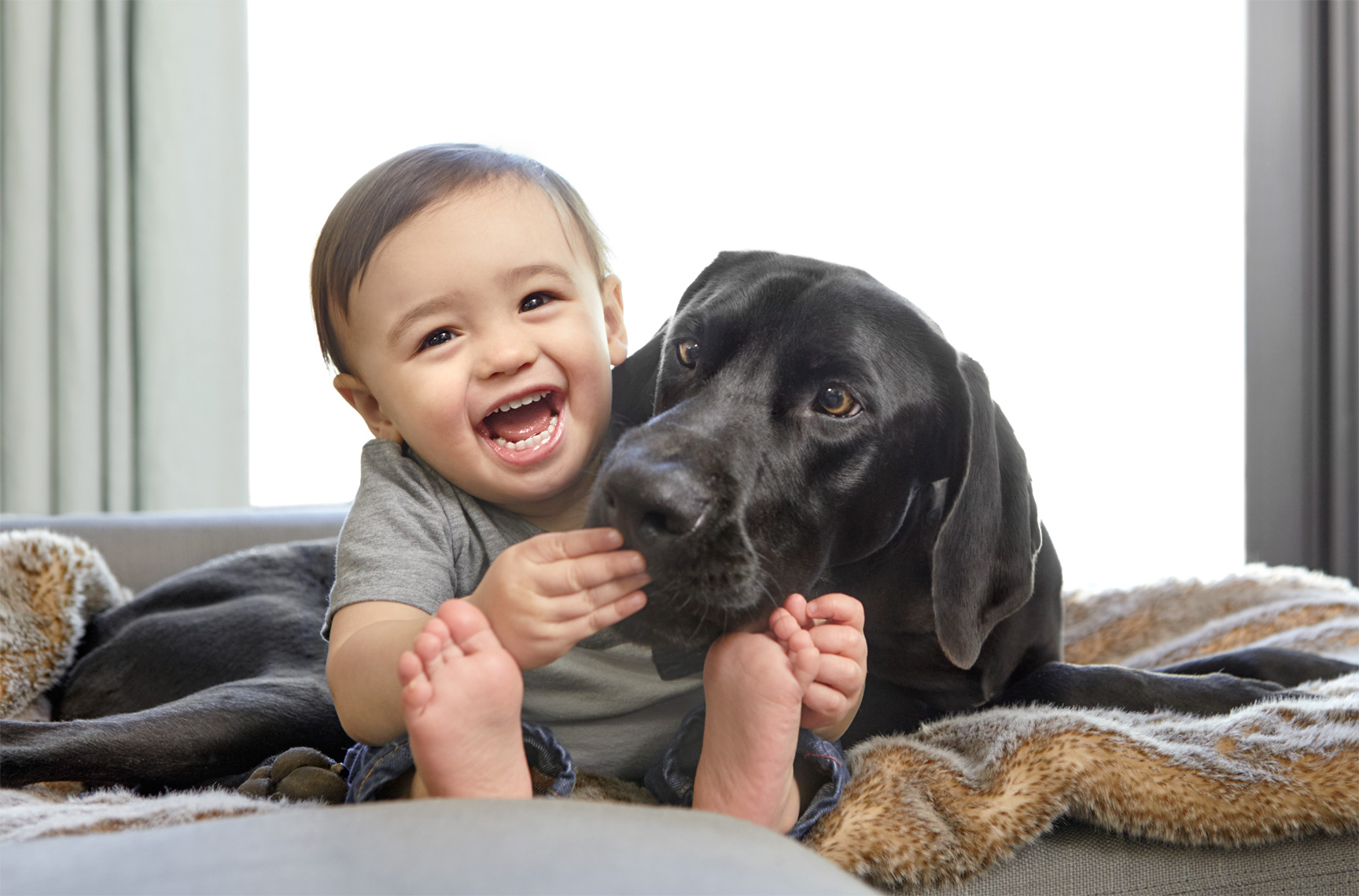 Toddler feeding dog