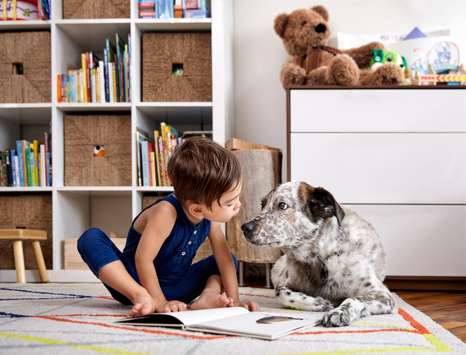 Boy reading to dog