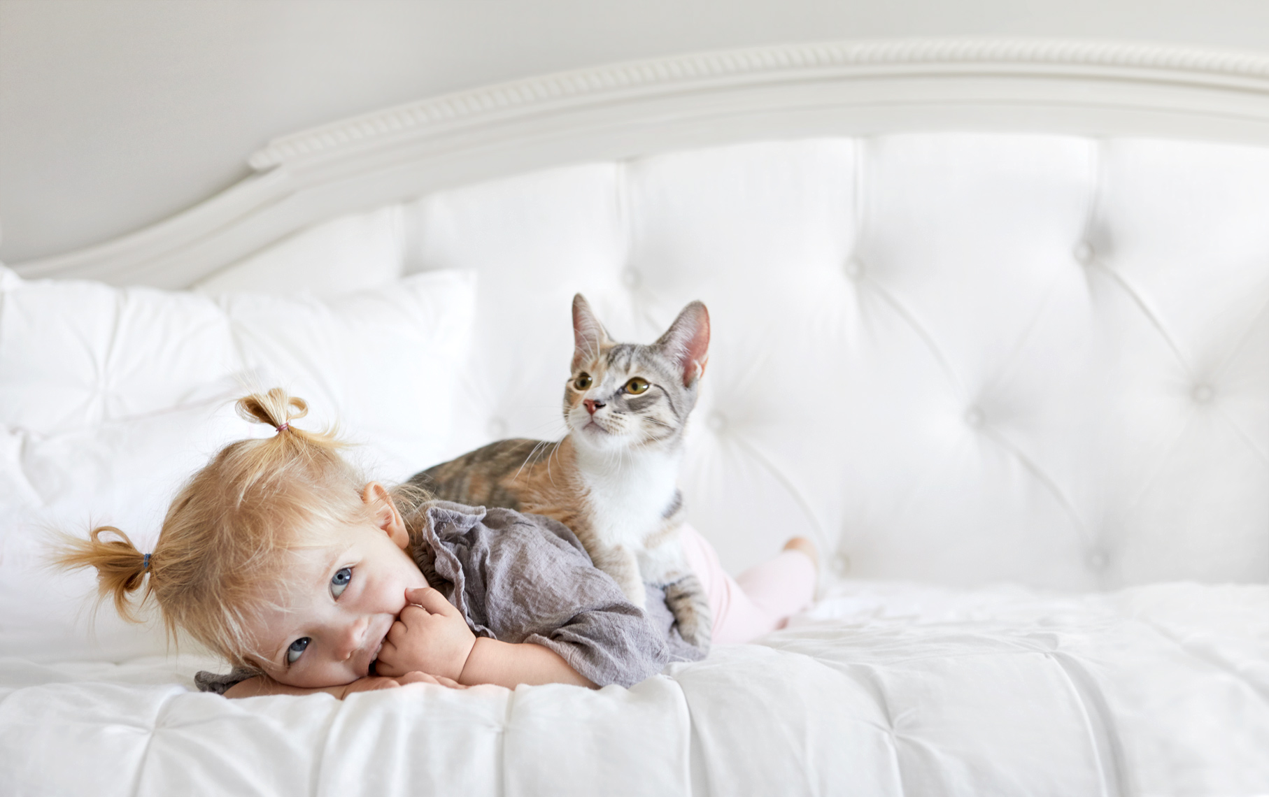 Toddler on bed with kitten