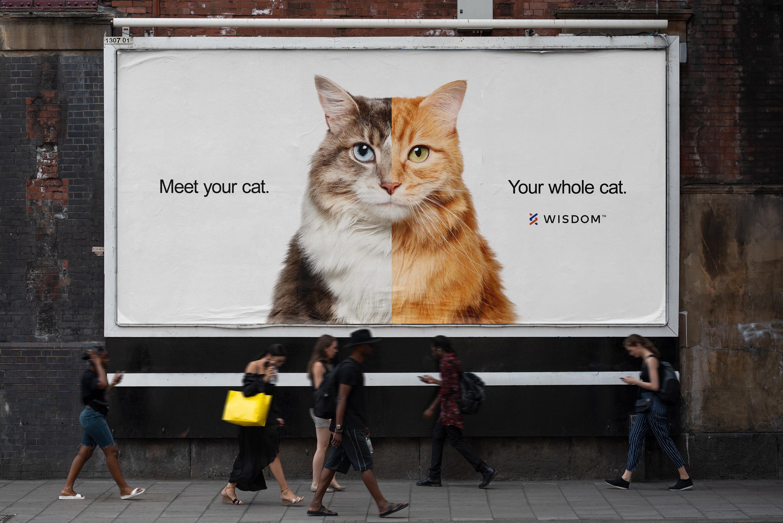 DCX_Wisdom_Meetyourcat_Campaign_OOH