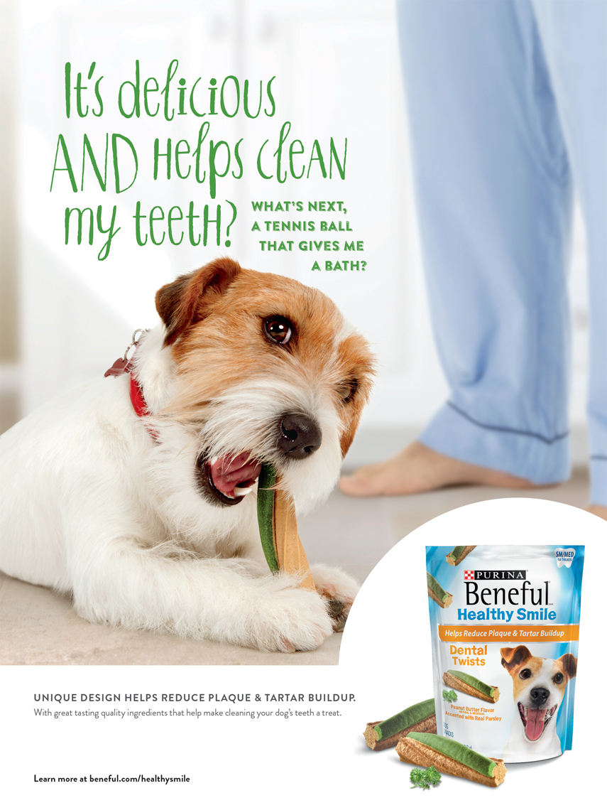 dog chewing treat for Purina