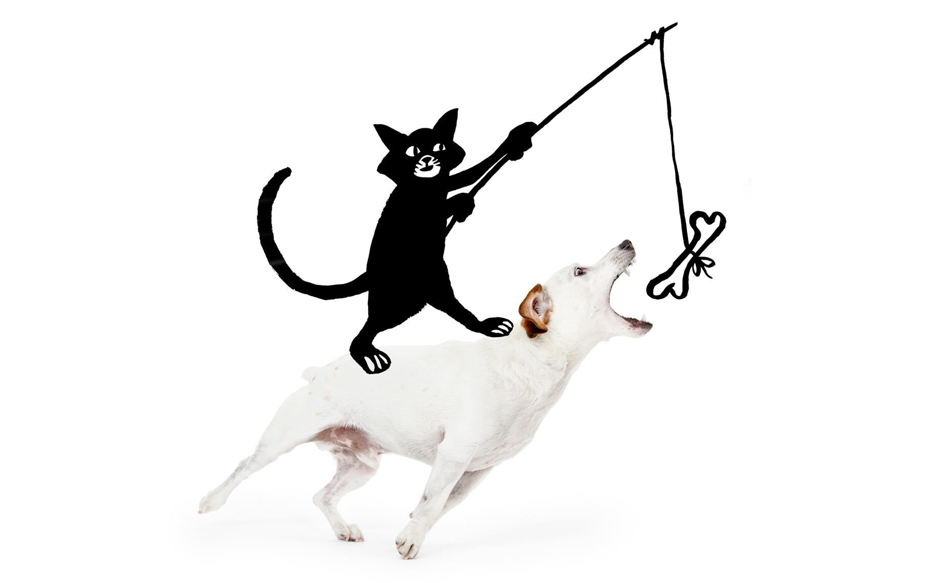Terrier with illustration